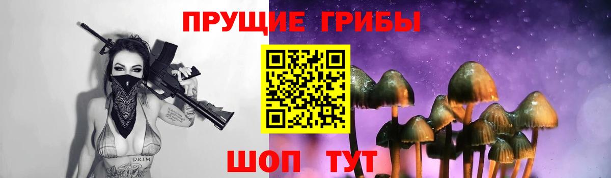 Галлюциногенные грибы GOLDEN TEACHER  Вход с VPN  Серов 